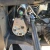 rn-image_picker_lib_temp_eb160006-f1de-4074-b133-d74deb7c83bf.jpg