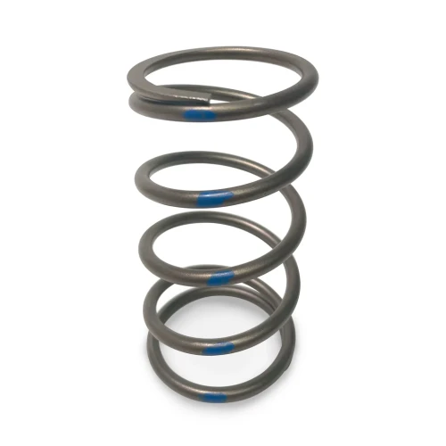 407RU0024_TAPP_Clutch_Primary-Clutch-Springs_EVP_Evolution_Powersports_SxS_Clutching_1024x1024.webp