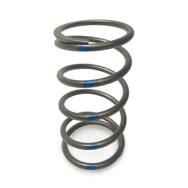 407RU0024_TAPP_Clutch_Primary-Clutch-Springs_EVP_Evolution_Powersports_SxS_Clutching_1024x1024.webp