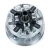 tapp_spider_1_1024x1024.webp