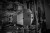 nz8a6511.jpg